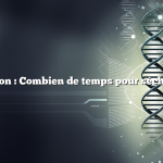 Question : Combien de temps pour sécher l’ail